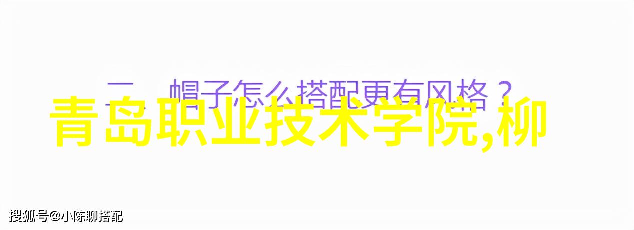 在大专市场营销的未来能否有另一位扫地茅成长追觅科技的故事背后隐藏着怎样的秘密和挑战