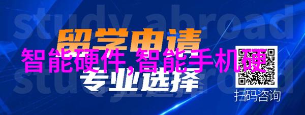 在推动大連成为智慧城市过程中人工智能应用占据了怎样的位置