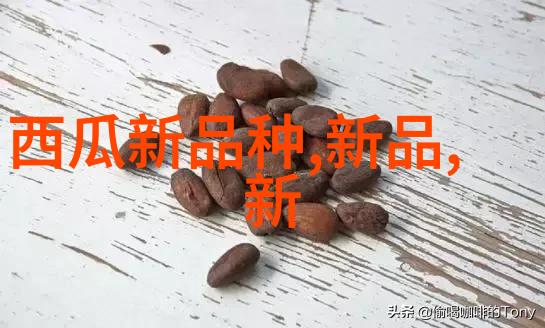 做错一道题学长就插一支笔视频我是如何在插笔中找到学习动力的