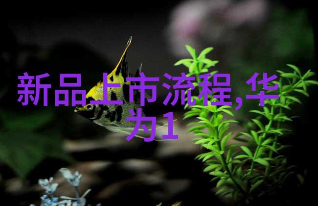 捷荣技术股吧深度分析其在现代金融市场中的作用与影响