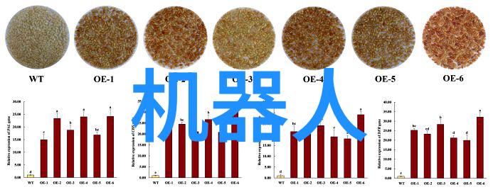 机器学习在智能输送规划中的应用