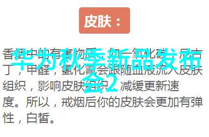 构建社会实践报告模板系统性与全面性的探索