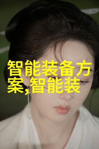 战略软件评估征服代码的高峰