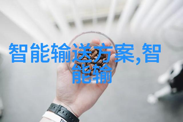 为何在探讨AI芯片落地时软硬融合不仅被大咖们频繁提及而且成为了目前中国芯片技术发展的金钥匙CCF-G