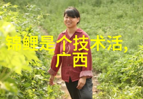 黑鲨3S对比ROG游戏手机3拯救者pro同搭载骁龙865 Plus