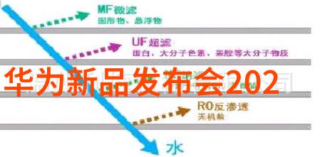 揭秘MBTI人格理论理解四维型号的个性差异与互动策略