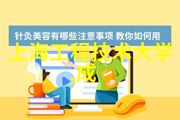 项目筹措报告启动梦想的财源之旅