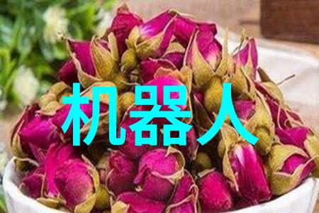 芯片封装技术从封装设计到后端处理的全方位探究