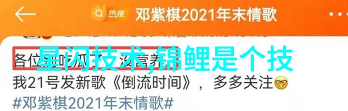 国际合作视角下探讨国家保密局测试认证中心的国际影响力提升策略