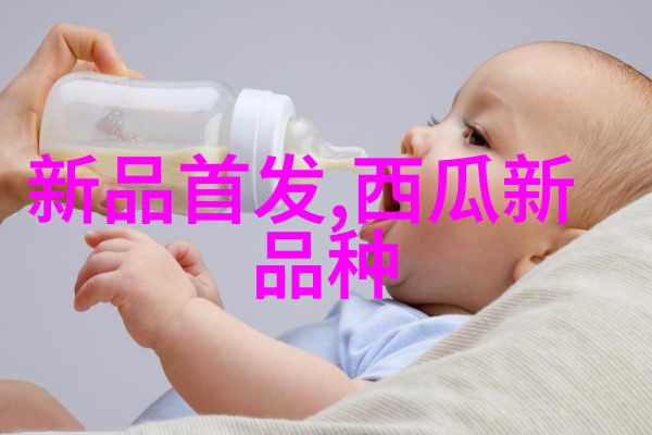 纵深探究投资之舟与实践之桥