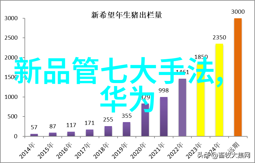 深入剖析商业项目可行性策略财务与市场的完美结合