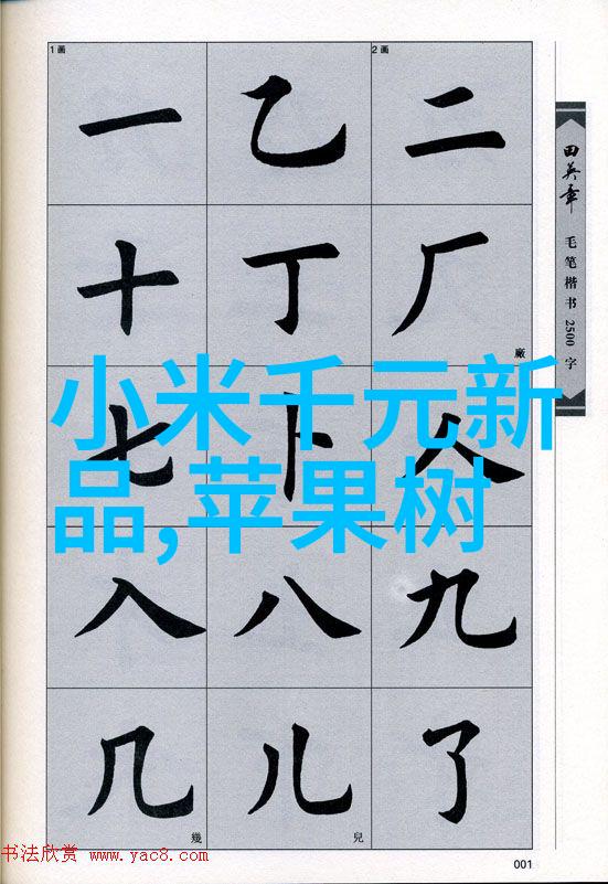 上海交通大学招生办公室详解最新的高考入学政策深度剖析新一代学子选择大本营