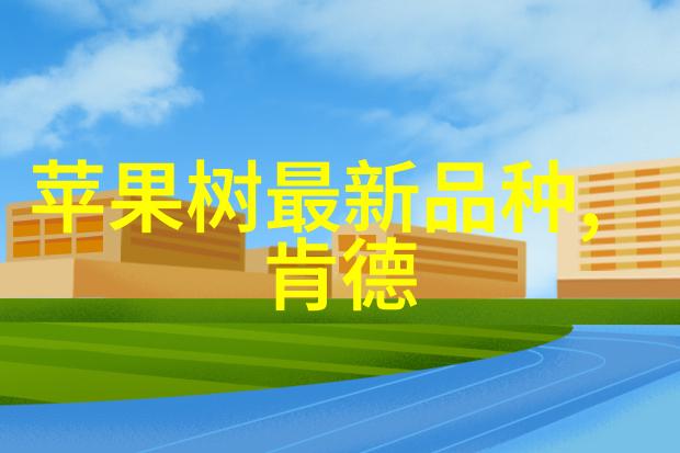 对未来发展四川财经职业学院有什么长远规划吗