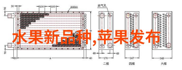 部队士官的职业生涯回顾守护与成长的征程