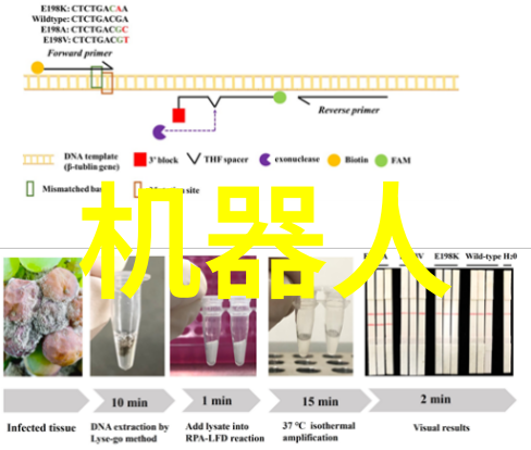 常州工程职业技术学院-致远之城追逐梦想的工匠精神