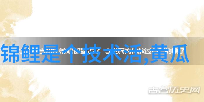 安卓市场下载指南安全获取APP不再难题