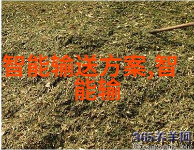 关关于重罚超载车辆的问题解答看完就懂了