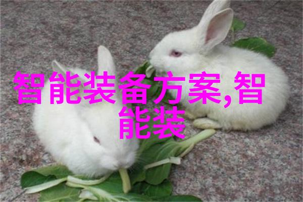 家园的甜蜜回味与希望的交织