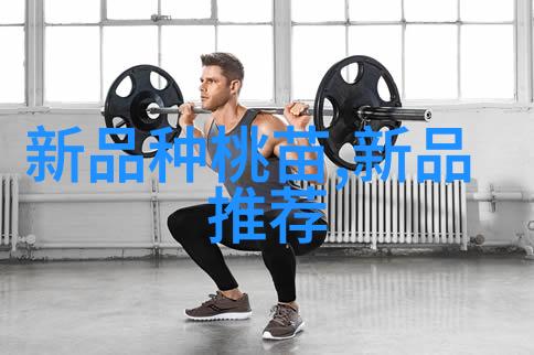 Fitbit Charge 2智能健身手环评测自然界中的人才胜任力追踪器助你从心开始提升自我