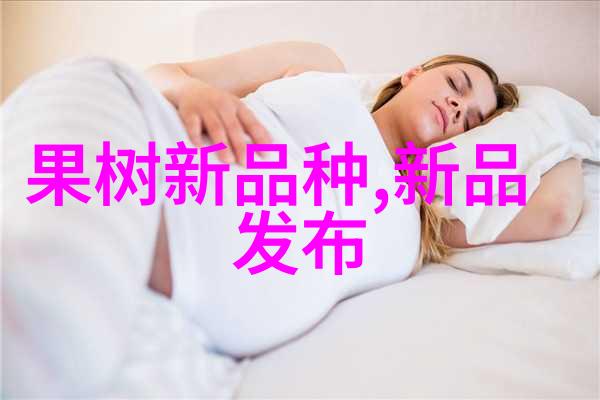 时空之轮全球化的信息洪流与社会变革