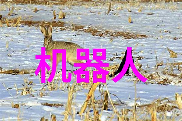 人工智能进化论从机器学习到自主适应的认知架构