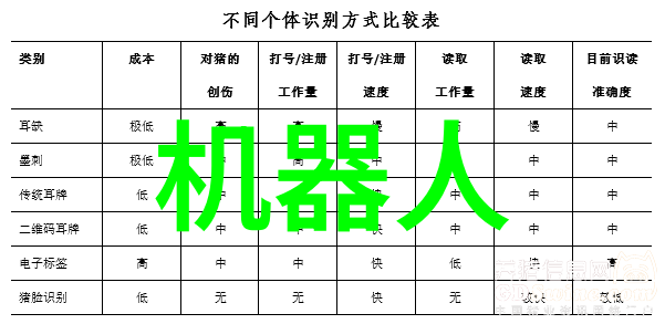 数字芯片硅之心脏与信息洪流的双重奏鸣