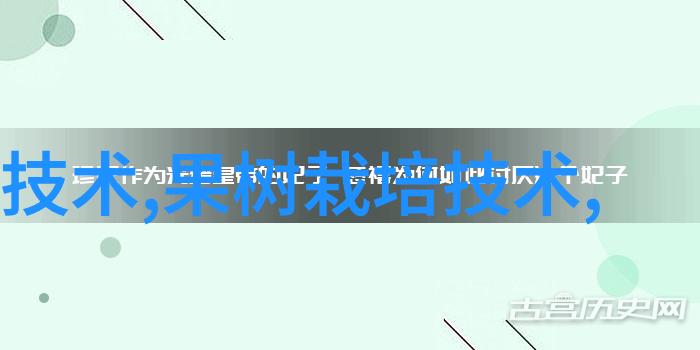 中国芯片十大龙头企业-领航未来深度剖析中国芯片业的十大龙头企业