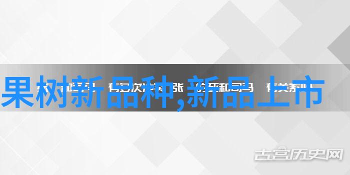 报告模板撰写指南高效创建专业报告的技巧