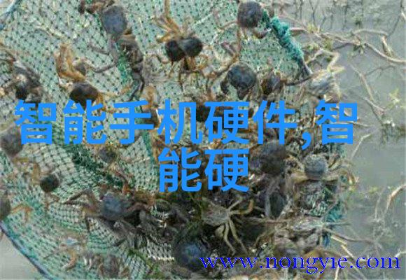 企业人才测评系统精准诊断与优化的人才开发方案