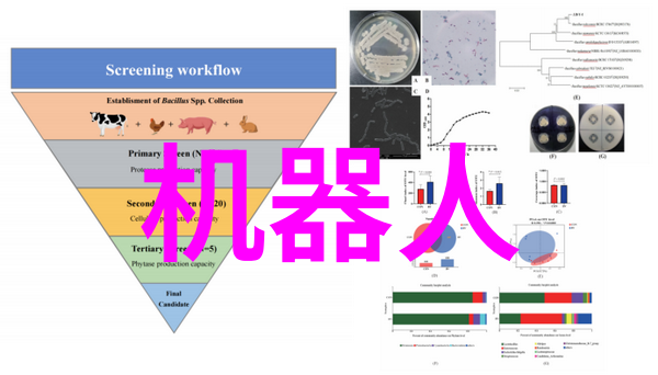 股市风云突变今日交易引发的隐秘背后