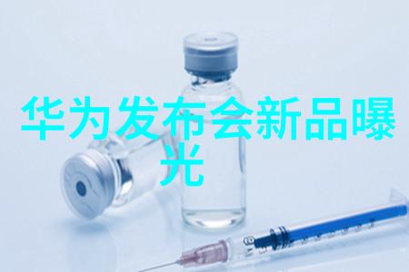 实例解析成功案例中的可行性项目报告