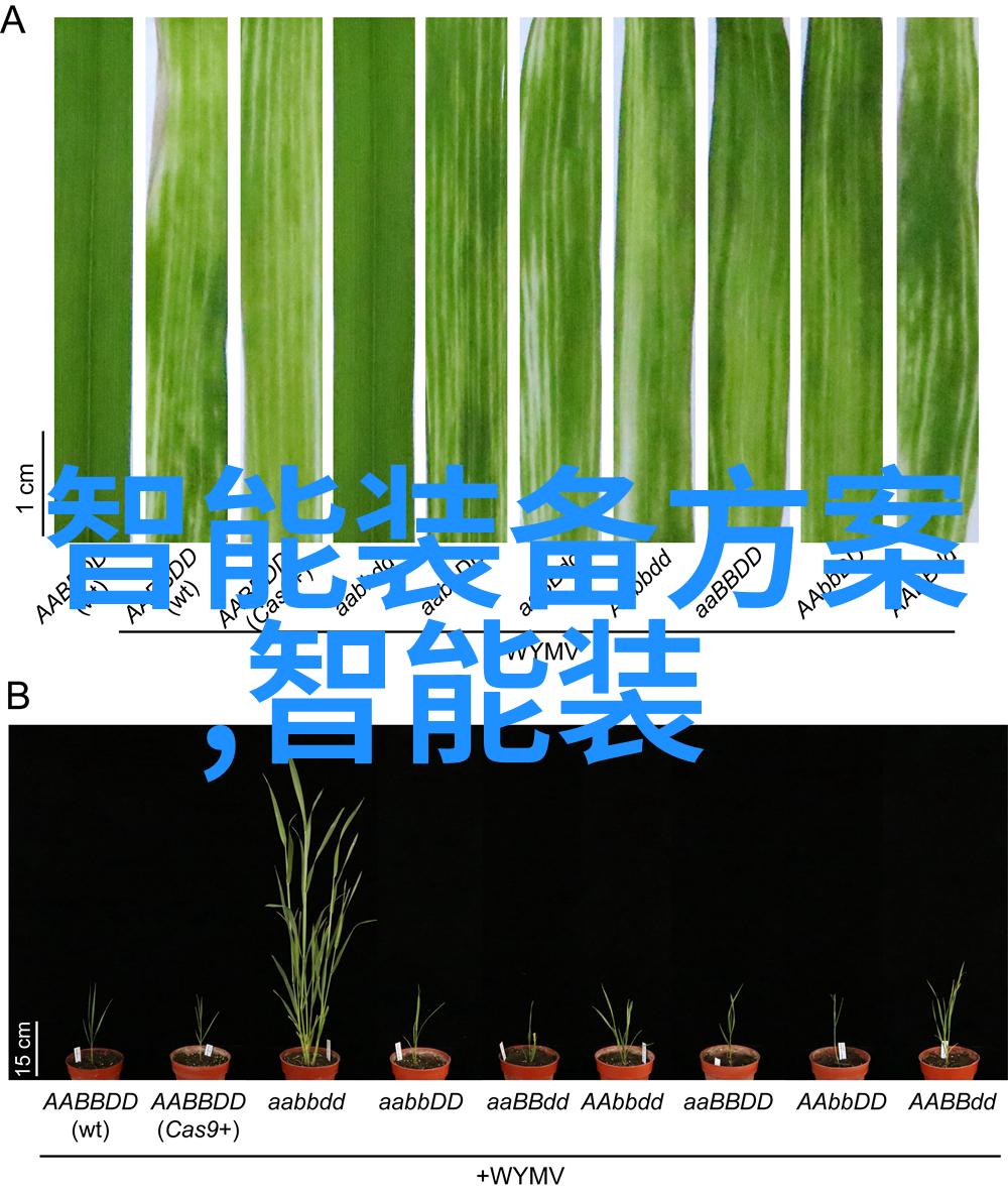 芯片产业的薪资泡沫集成电路工资太高了