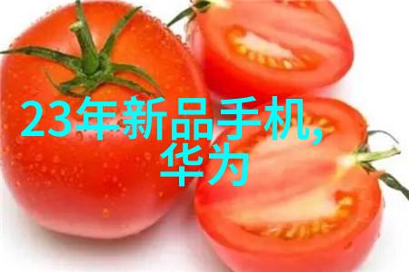 芯片通道2022年进口金额的数字故事