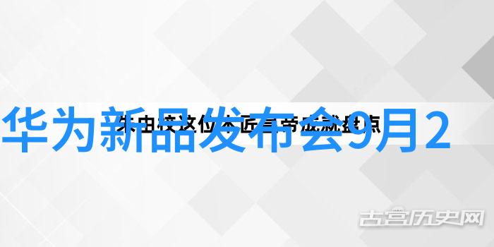 霓裳风云穿越时空的舞者与琴音