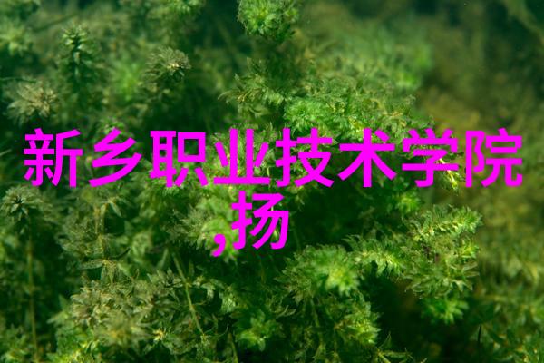 新浪财经股市反弹预期与投资策略分析