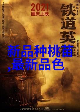 全國統一大市場下消費者權益保護機制將如何完善