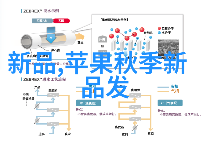 机器人我的新伴侣它如何改变我看待生活的方式