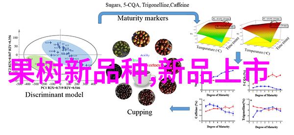 吉林财经大学学术氛围深厚的经济管理理论与实践融合