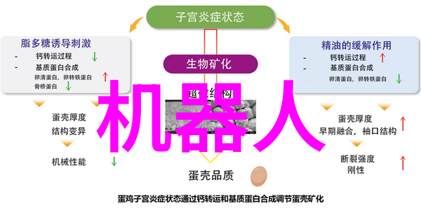 北京软件评测中心码中天地的守护者