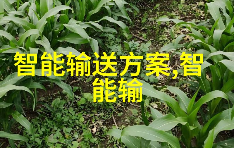 新春盛宴苹果科技的未来之光