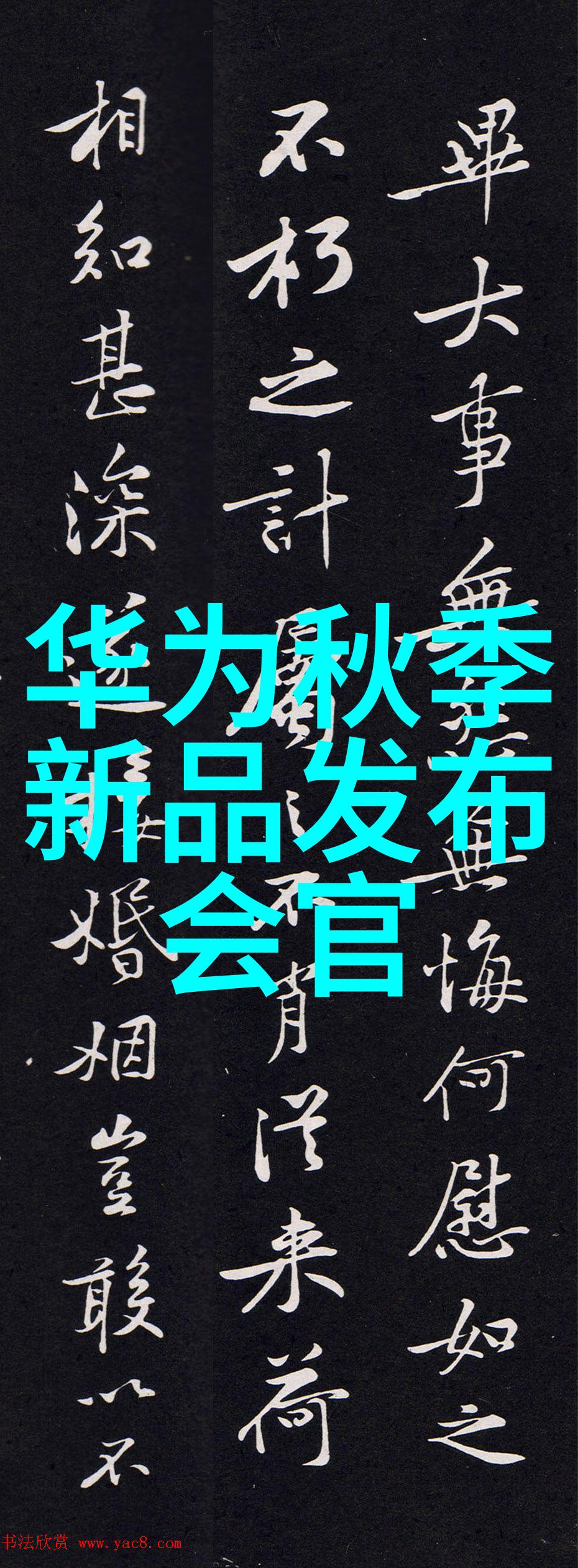 小米新品发布会视频我的心跳加速揭秘哪些神器将改变我们的生活