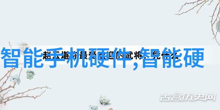 软件优化与安全性保障用户隐私和数据安全的策略是什么