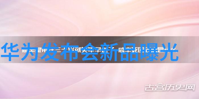 211梦碎南京财经学子的挑战与成长