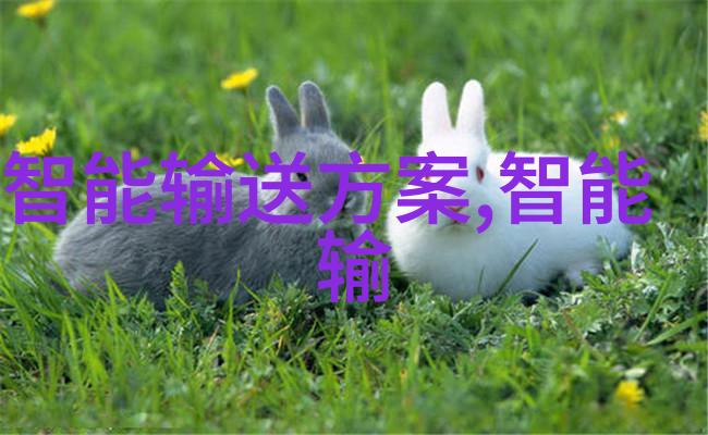 科技界的盛宴苹果新时代之翼