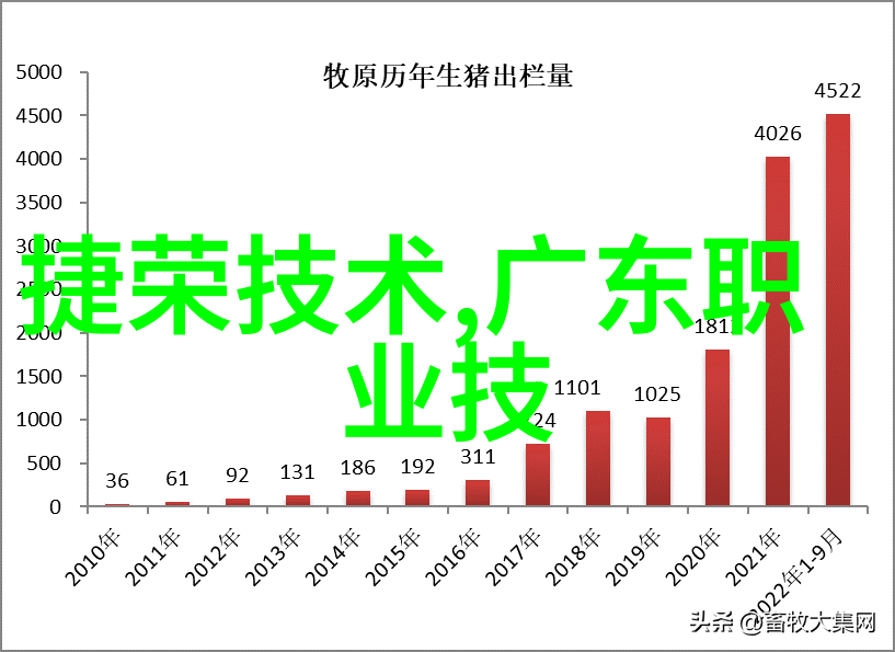 芯片是干啥用的咱们来聊聊