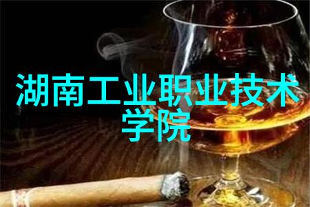 中国芯片产业的新篇章自主创新与国际竞争的双重奏鸣