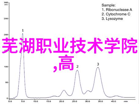 人才评估测试揭秘职业匹配的关键