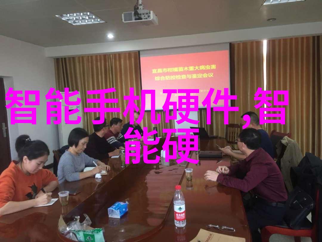 项目启动之谜编制可行性报告的艺术与科学