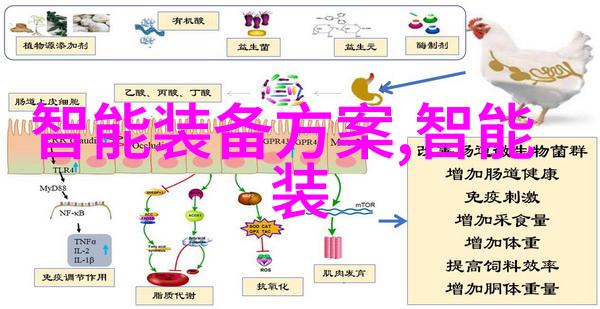 肠道微生物保持青春的秘诀