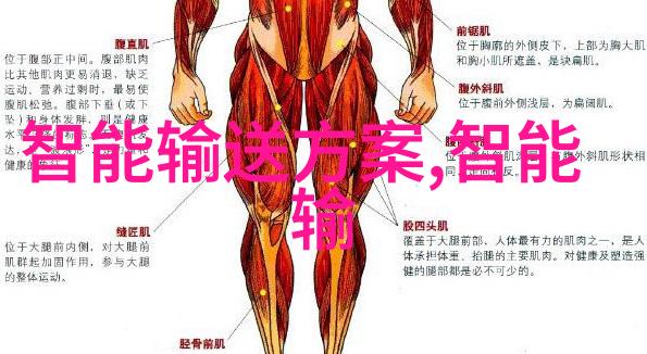 成都航空职业技术学院的国际合作与交流项目有哪些